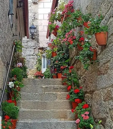 En Primera Linea De Playa * リベイラ